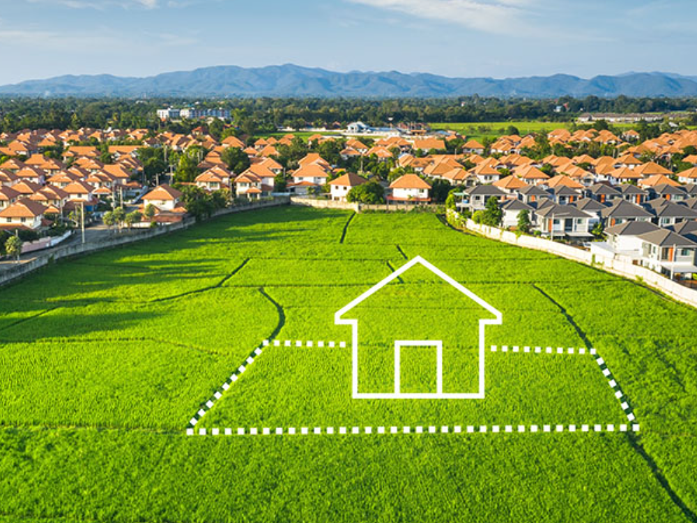 Zeytinlik mi, Yazlık Konut mu?